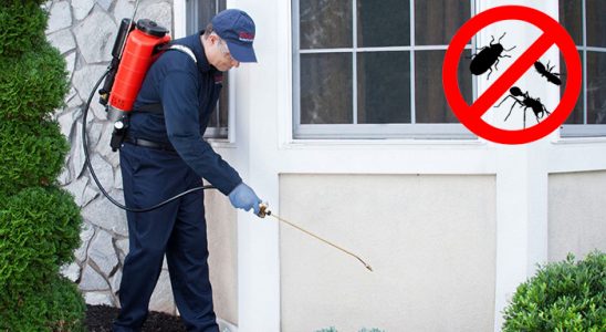 Bingöl Fare İlaçlama böcek ilaçlama ve haşere kontrolü — ilaclama-tr.com